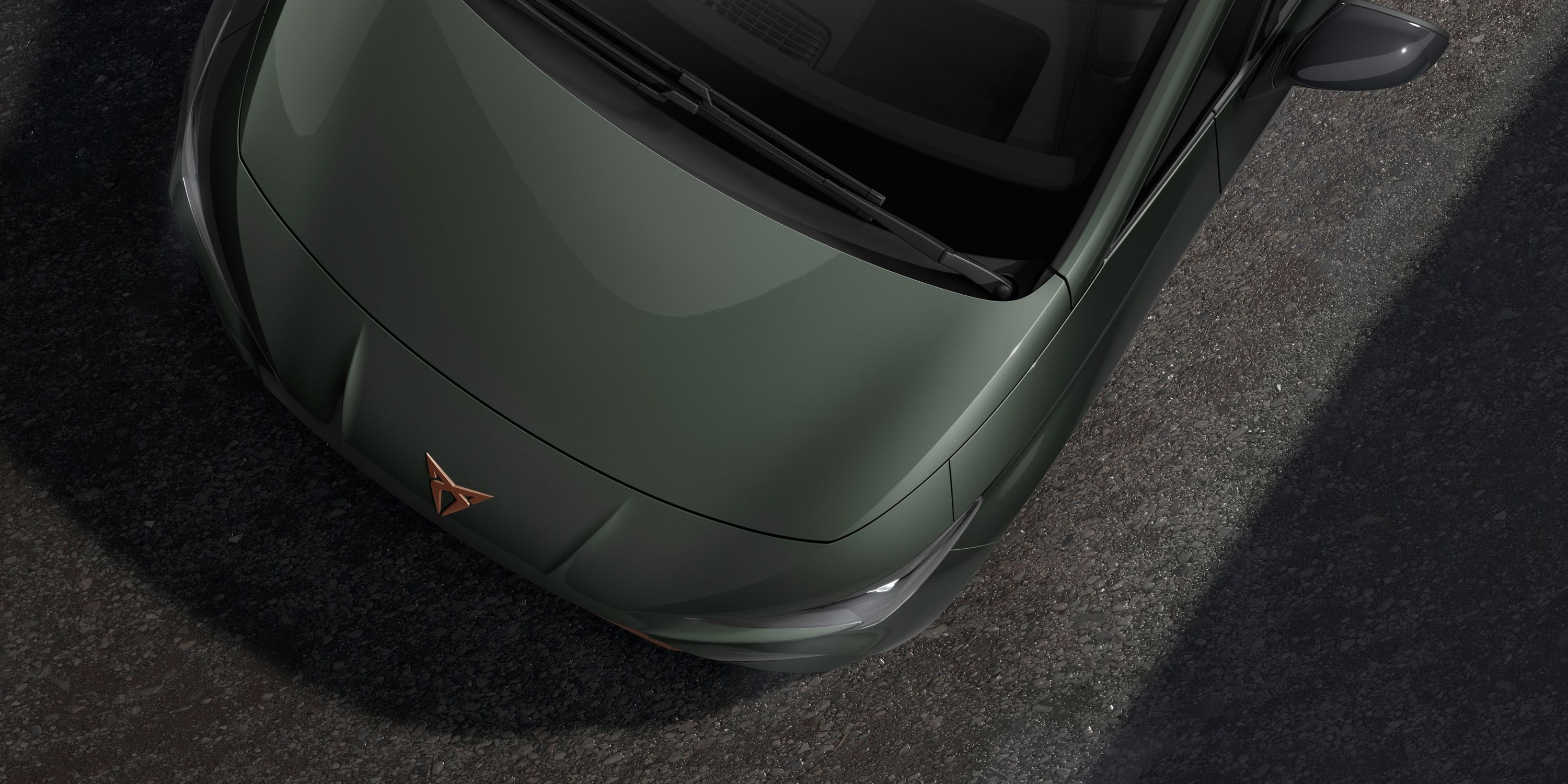 CUPRA Born em Dark Forest